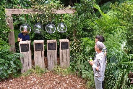 Finale im Dschungelcamp