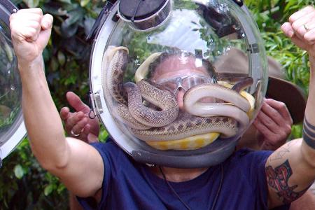 Finale im Dschungelcamp