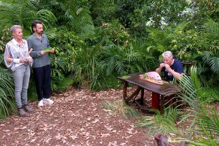 Finale im Dschungelcamp