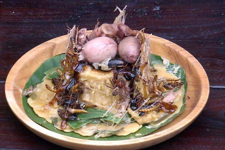 Finale im Dschungelcamp