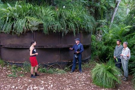 Finale im Dschungelcamp