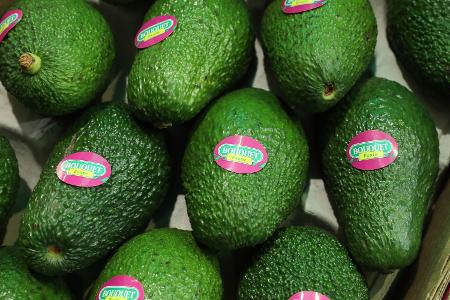 Avocado