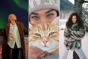 Collage aus Rurik Gislason, Amira Aly und Vanessa Fuchs