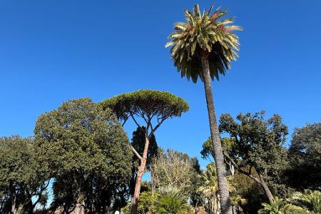 Rom verfügt über eine große botanische Vielfalt.