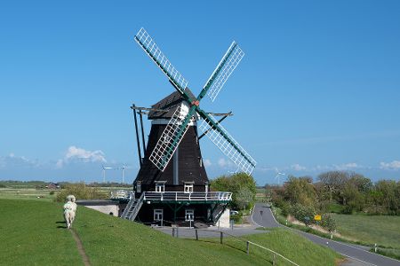 Nordermühle auf Pellworm