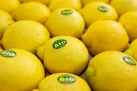 In Nürnberg eröffnet die weltweit größte Messe der Biobranche. Produkte aus nachhaltigem Anbau boomen. (Archivbild)