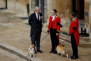 Nach Andrew und Fergies Auszug: Wo leben die Corgis der Queen jetzt?