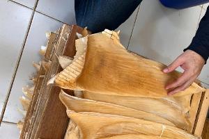 Die Polizei hat mehr als 1,5 Tonnen Haiflossen beschlagnahmt.