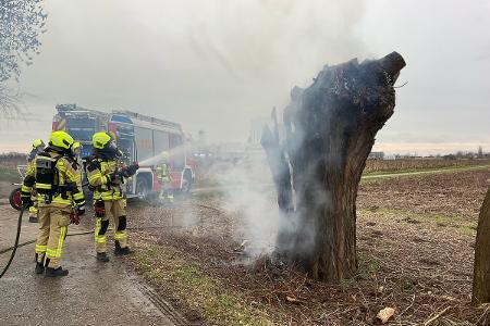 Brennender Baum in Menzelen Ost FFA