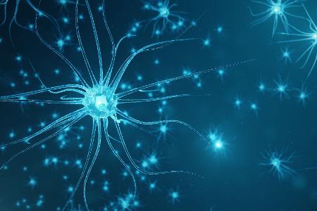 Neuronale Plastizität