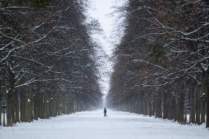 Das Wetter in Deutschland bleibt winterlich.