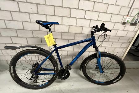 Wem gehört das Mountainbike?