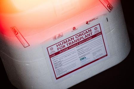 Die Ersatzorgane werden in einer Kühlbox transportiert. (Symbolbild)
