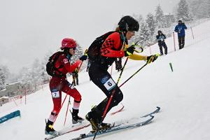 Skibergsteigen: Paller kämpft um Medaille