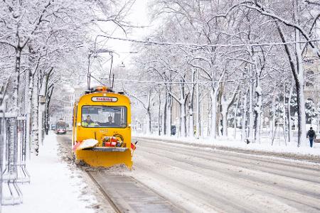 Die Straßen in Wien präsentieren sich weiß.