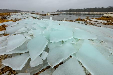 Eisplatten an der Oder