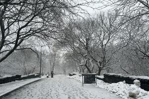 In New York legt der viele Schnee das öffentliche Leben lahm.