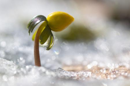 Bis 20 Grad und sogar noch wärmer kann es stellenweise werden. (Archivbild)