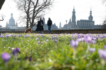 Frühlingshaftes Wetter kündigt sich schon vor dem meteorologischen Frühlingsbeginn am 1. März an.
