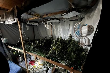 Cannabisplantage in Dachgeschosswohnung