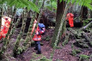Einsatzkräfte suchten 2023 die dichten Wälder Tasmaniens nach der 31-Jährigen ab. (Archivbild)