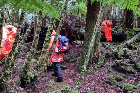 Einsatzkräfte suchten 2023 die dichten Wälder Tasmaniens nach der 31-Jährigen ab. (Archivbild)