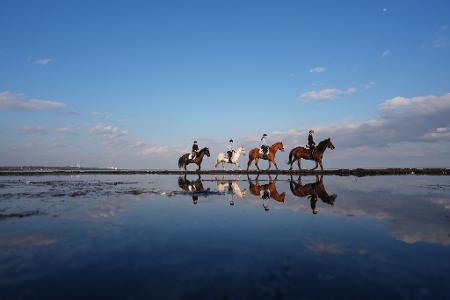 Ostseereiter am Strand