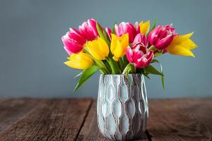 Frühlingserwachen in der Vase: Wie der Blumenstrauß lange überlebt