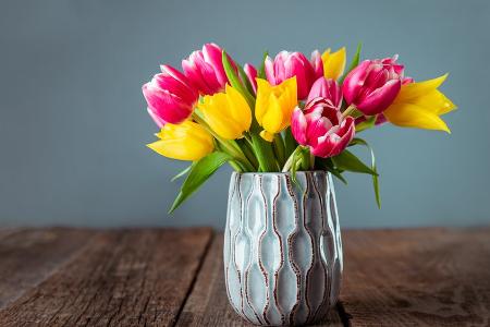 Frühlingserwachen in der Vase: Wie der Blumenstrauß lange überlebt