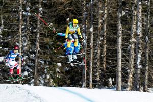 Skicross: Maier und Wilmsmann auf dem Podium