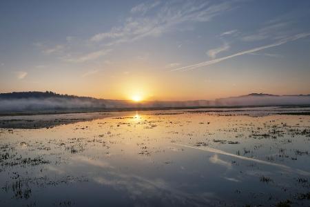 Sonnig wird es in weiten Teilen Deutschlands. 