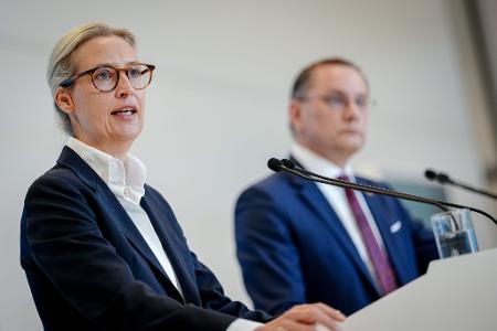 Alice Weidel und Tino Chrupalla stehen gemeinsam an der Spitze der AfD und sind auch Co-Vorsitzende der AfD-Bundestagsfraktion. (Archivfoto)