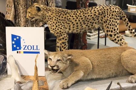 Symbolbild
Quelle: Zoll