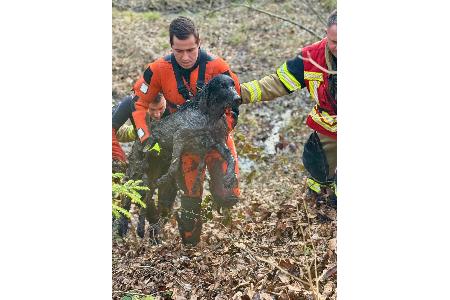 Feuerwehr Stuttgart bei einer Tierrettung