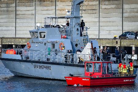 Die Meeresschutz-Organisation Sea Shepherd fuhr mit einem Schiff zu dem Wal.