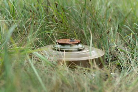 Landmine versteckt im Gras