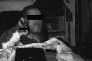 Blitzerfoto Lkw und Katze