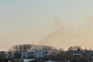 Flächenbrand am Altenhofer Weg