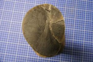 Quelle: Hauptzollamt Dresden