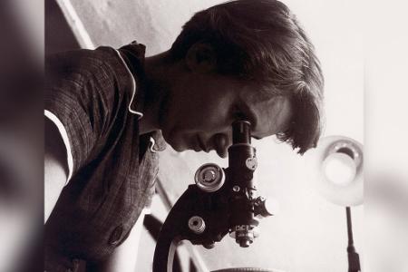 DNA-Doppelhelix von Rosalind Franklin