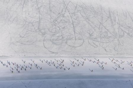  Skifahrer nehmen am 56. Engadin Skimarathon in Maloja teil.
