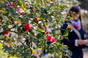 Am Dienstag sind vereinzelte Schauer und Gewitter "ganz zur Freude der langsam aufblühenden Natur" möglich, so Meteorologe Bauer. 