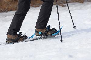 Die Wintersportler waren knapp über 2.000 Meter Seehöhe unterwegs. (Symbolbild)