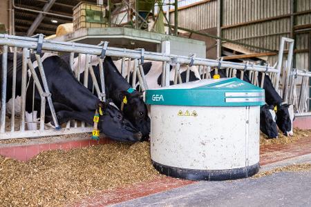 Melkroboter von Gea auf einem Bauernhof in Ahaus. (Archivbild)