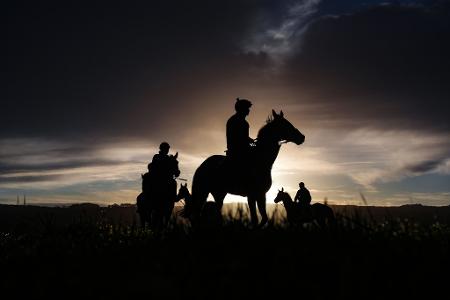 Reiter sind am Morgen auf der Galoppbahn in Cheltenham im Südwesten Englands unterwegs.