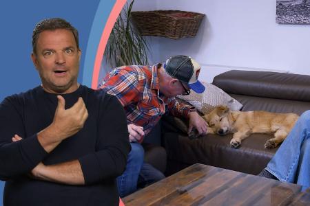 Die Welpen kommen - Mit Martin Rütter