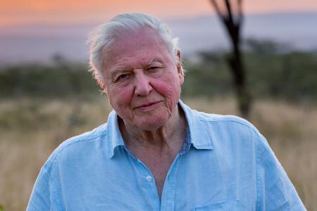 Sir David Attenborough, 99 Jahre