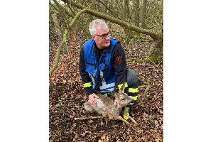 Ein Feuerwehrmann mit dem befreiten Rehkitz