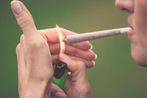 Netto bietet Cannabissamen an