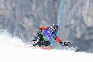 Forster auf Goldkurs im Riesenslalom